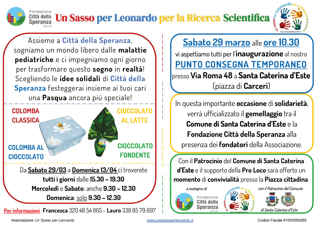Locandina per l'iniziativa un sasso per Leonardo per la ricerca scientifica il 29 marzo 2025