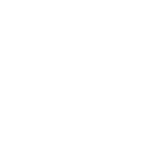 icona_digital ambassador