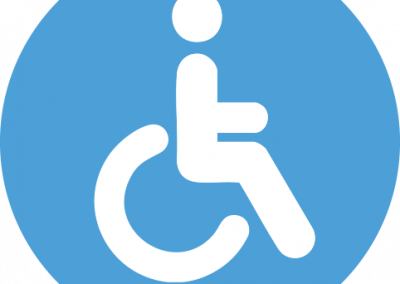 Icona disabilità
