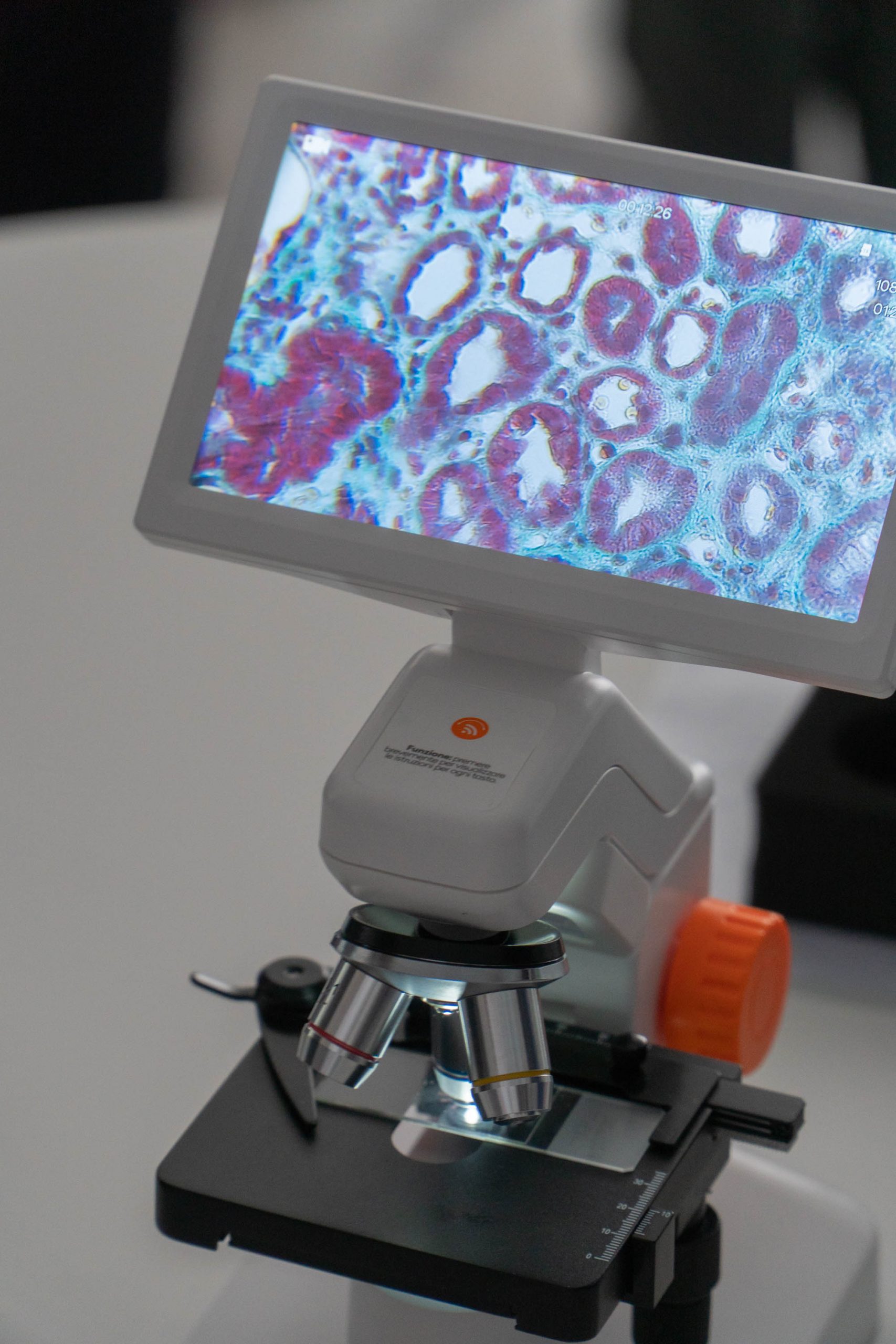 Open day in IRP, Padova - Novembre 2025